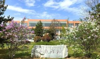 山东石油化工学院学费